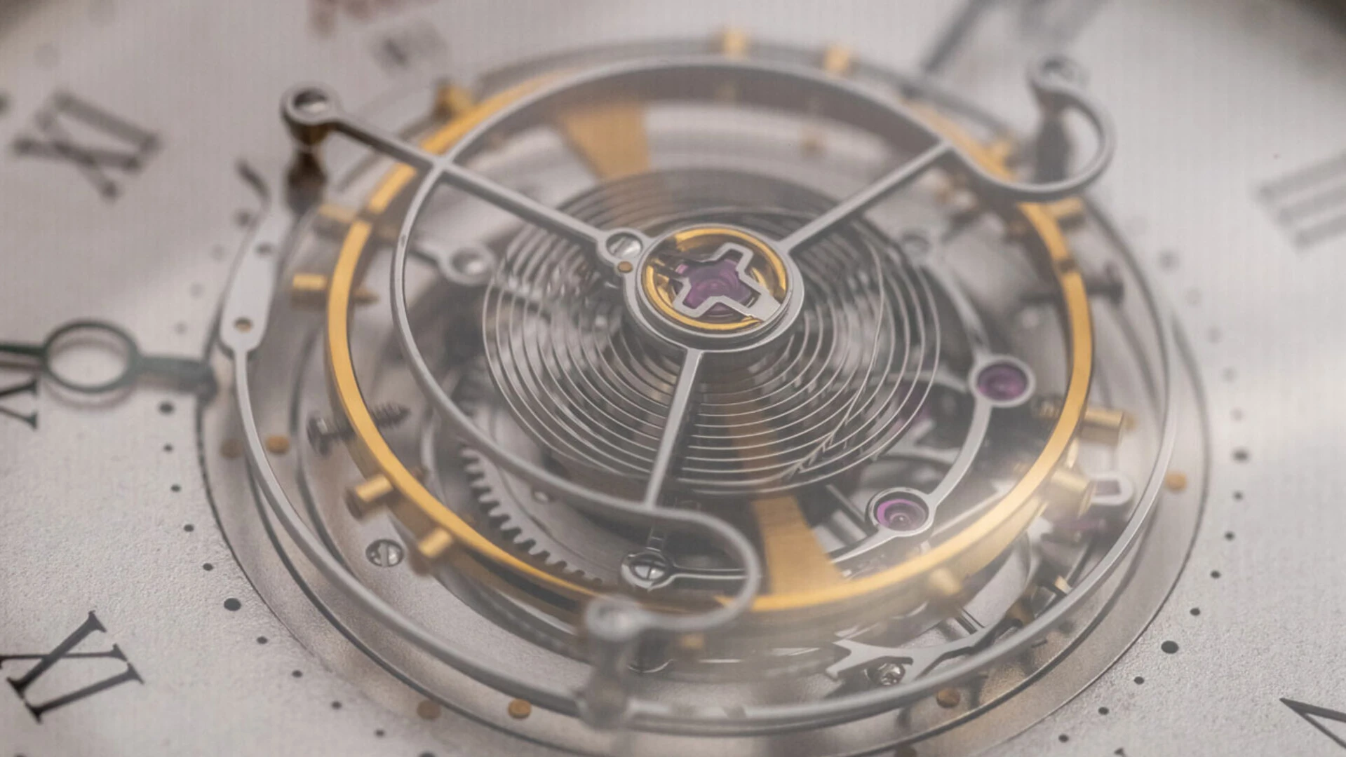 haldimann h1 watch tourbillon macro journal