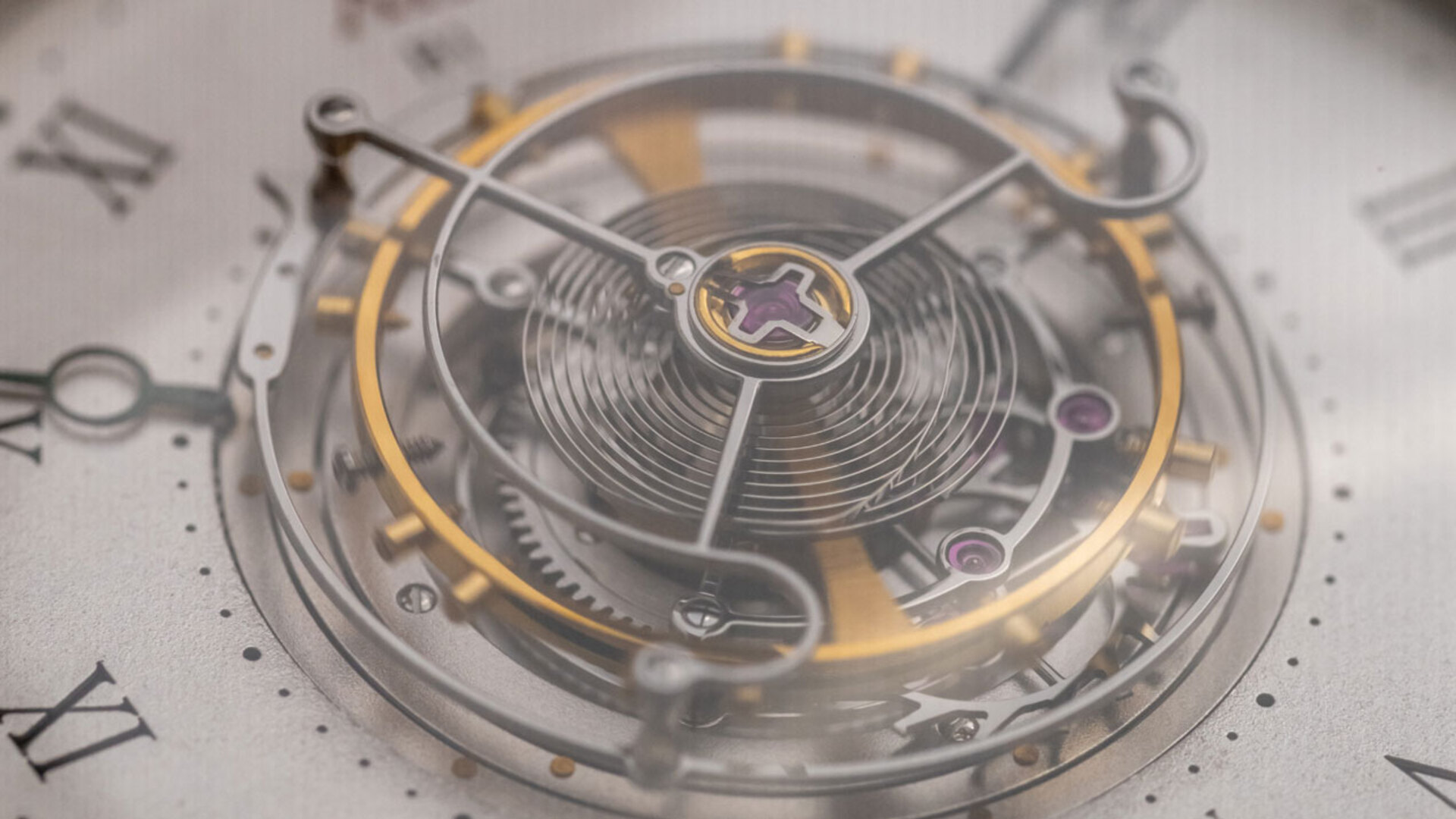 haldimann h1 watch tourbillon macro journal